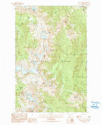 Mount Queets Washington Historical topographic map, 1:24000 scale, 7.5 X 7.5 Minute, Year 1990