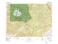 Mount Rainier Washington Historical topographic map, 1:100000 scale, 30 X 60 Minute, Year 1978