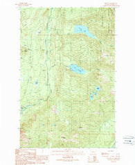 Mount Si Washington Historical topographic map, 1:24000 scale, 7.5 X 7.5 Minute, Year 1989