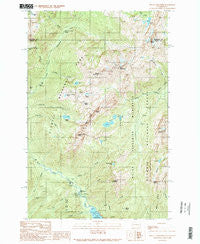 Mount Skokomish Washington Historical topographic map, 1:24000 scale, 7.5 X 7.5 Minute, Year 1990
