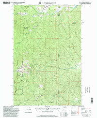Mount Spokane Washington Historical topographic map, 1:24000 scale, 7.5 X 7.5 Minute, Year 1996