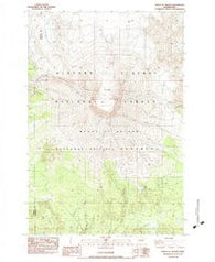 Mount St. Helens Washington Historical topographic map, 1:24000 scale, 7.5 X 7.5 Minute, Year 1983