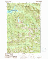 Mount Stickney Washington Historical topographic map, 1:24000 scale, 7.5 X 7.5 Minute, Year 1989