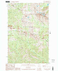 Mount Stuart Washington Historical topographic map, 1:24000 scale, 7.5 X 7.5 Minute, Year 1989