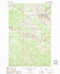 Mount Stuart Washington Historical topographic map, 1:24000 scale, 7.5 X 7.5 Minute, Year 1989