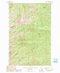 Mount Townsend Washington Historical topographic map, 1:24000 scale, 7.5 X 7.5 Minute, Year 1990