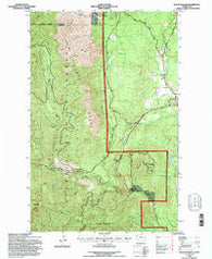 Mount Walker Washington Historical topographic map, 1:24000 scale, 7.5 X 7.5 Minute, Year 1995