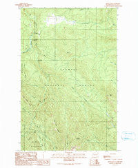 Mount Zion Washington Historical topographic map, 1:24000 scale, 7.5 X 7.5 Minute, Year 1990