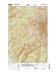 Mount Adams West Washington Current topographic map, 1:24000 scale, 7.5 X 7.5 Minute, Year 2014