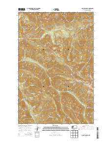 Mount Angeles Washington Current topographic map, 1:24000 scale, 7.5 X 7.5 Minute, Year 2014