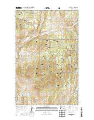 Mount Annie Washington Current topographic map, 1:24000 scale, 7.5 X 7.5 Minute, Year 2014