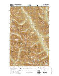 Mount Arriva Washington Current topographic map, 1:24000 scale, 7.5 X 7.5 Minute, Year 2014