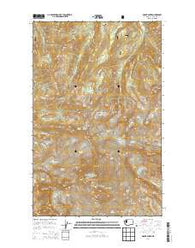 Mount Baker Washington Current topographic map, 1:24000 scale, 7.5 X 7.5 Minute, Year 2014