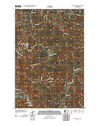 Mount Brynion Washington Historical topographic map, 1:24000 scale, 7.5 X 7.5 Minute, Year 2011