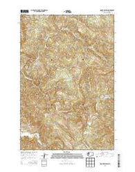 Mount Brynion Washington Current topographic map, 1:24000 scale, 7.5 X 7.5 Minute, Year 2013