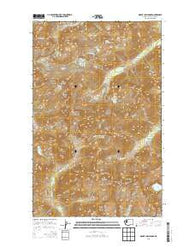 Mount Challenger Washington Current topographic map, 1:24000 scale, 7.5 X 7.5 Minute, Year 2014