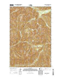 Mount Christie Washington Current topographic map, 1:24000 scale, 7.5 X 7.5 Minute, Year 2014