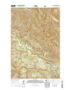Mount Clifty Washington Current topographic map, 1:24000 scale, 7.5 X 7.5 Minute, Year 2014