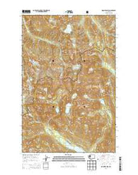 Mount Daniel Washington Current topographic map, 1:24000 scale, 7.5 X 7.5 Minute, Year 2014
