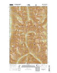 Mount Lago Washington Current topographic map, 1:24000 scale, 7.5 X 7.5 Minute, Year 2014