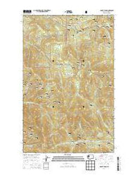 Mount Leona Washington Current topographic map, 1:24000 scale, 7.5 X 7.5 Minute, Year 2014