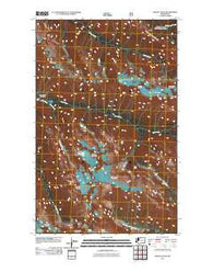 Mount Logan Washington Historical topographic map, 1:24000 scale, 7.5 X 7.5 Minute, Year 2011