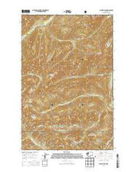 Mount Olson Washington Current topographic map, 1:24000 scale, 7.5 X 7.5 Minute, Year 2014