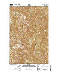 Mount Queets Washington Current topographic map, 1:24000 scale, 7.5 X 7.5 Minute, Year 2014