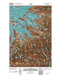 Mount Rainier East Washington Historical topographic map, 1:24000 scale, 7.5 X 7.5 Minute, Year 2011
