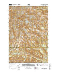 Mount Rainier East Washington Current topographic map, 1:24000 scale, 7.5 X 7.5 Minute, Year 2014