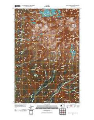 Mount Rainier West Washington Historical topographic map, 1:24000 scale, 7.5 X 7.5 Minute, Year 2011