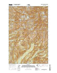 Mount Rainier West Washington Current topographic map, 1:24000 scale, 7.5 X 7.5 Minute, Year 2014
