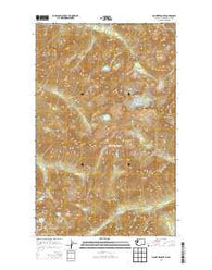 Mount Redoubt Washington Current topographic map, 1:24000 scale, 7.5 X 7.5 Minute, Year 2014