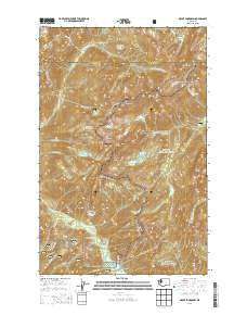 Mount Skokomish Washington Current topographic map, 1:24000 scale, 7.5 X 7.5 Minute, Year 2014