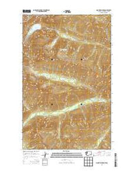 Mount Spickard Washington Current topographic map, 1:24000 scale, 7.5 X 7.5 Minute, Year 2014