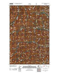 Mount Townsend Washington Historical topographic map, 1:24000 scale, 7.5 X 7.5 Minute, Year 2011