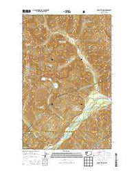 Mount Triumph Washington Current topographic map, 1:24000 scale, 7.5 X 7.5 Minute, Year 2014