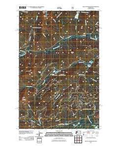 Mount Washington Washington Historical topographic map, 1:24000 scale, 7.5 X 7.5 Minute, Year 2011