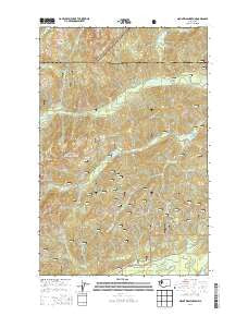 Mount Washington Washington Current topographic map, 1:24000 scale, 7.5 X 7.5 Minute, Year 2014