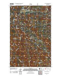 Mount Zion Washington Historical topographic map, 1:24000 scale, 7.5 X 7.5 Minute, Year 2011