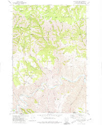 Mountain View Washington Historical topographic map, 1:24000 scale, 7.5 X 7.5 Minute, Year 1971