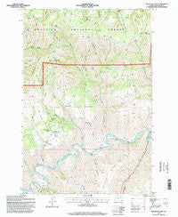 Mountain View Washington Historical topographic map, 1:24000 scale, 7.5 X 7.5 Minute, Year 1995