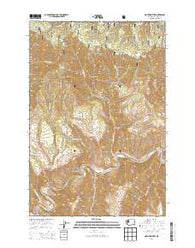Mountain View Washington Current topographic map, 1:24000 scale, 7.5 X 7.5 Minute, Year 2013