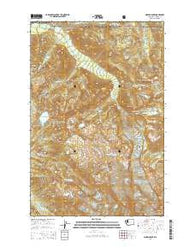 Mowich Lake Washington Current topographic map, 1:24000 scale, 7.5 X 7.5 Minute, Year 2014