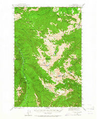Mt. Angeles Washington Historical topographic map, 1:62500 scale, 15 X 15 Minute, Year 1944