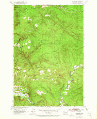 Mt. Brynion Washington Historical topographic map, 1:24000 scale, 7.5 X 7.5 Minute, Year 1953