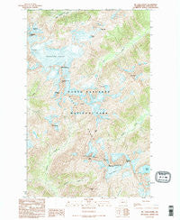 Mt Challenger Washington Historical topographic map, 1:24000 scale, 7.5 X 7.5 Minute, Year 1989