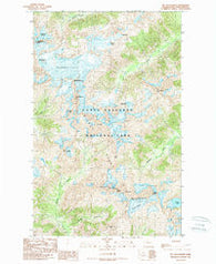 Mt Challenger Washington Historical topographic map, 1:24000 scale, 7.5 X 7.5 Minute, Year 1989