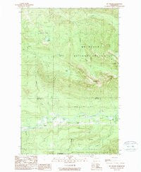 Mt Higgins Washington Historical topographic map, 1:24000 scale, 7.5 X 7.5 Minute, Year 1989