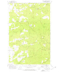 Mt. Kit Carson Washington Historical topographic map, 1:24000 scale, 7.5 X 7.5 Minute, Year 1973